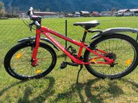 Kindermountainbike Orbea MX24 rot Bayern - Oberau Vorschau