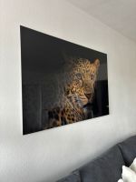Großes Leoparden Bild Bayern - Regensburg Vorschau