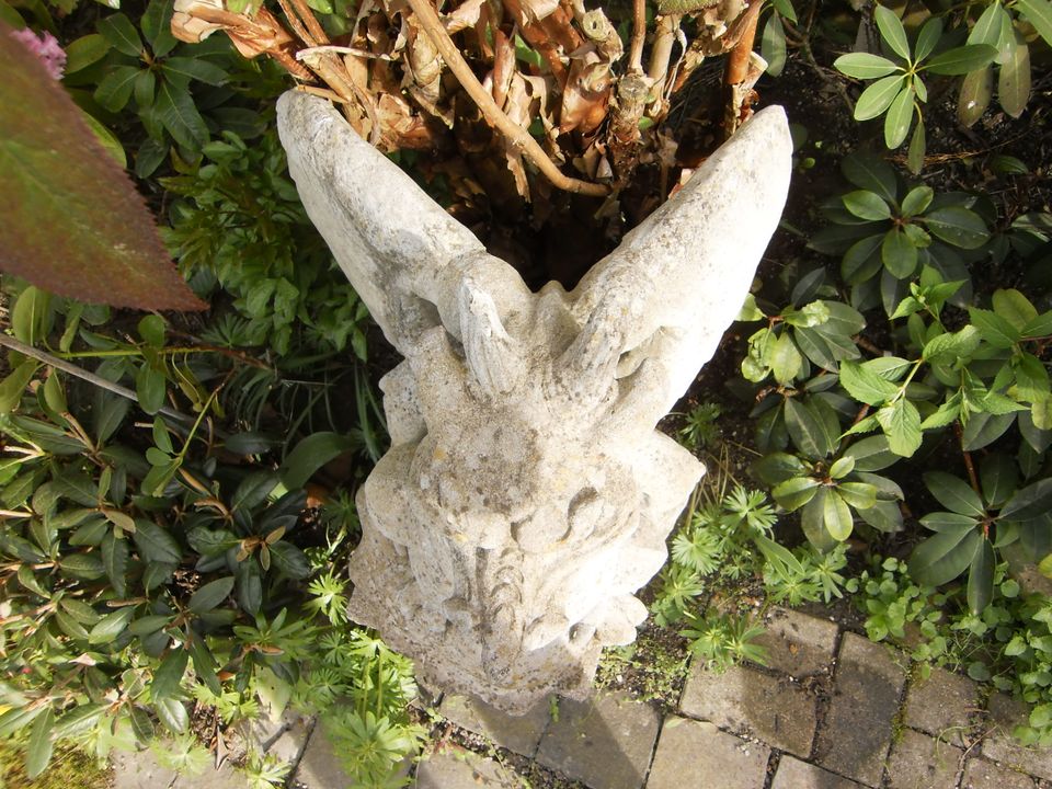 Drache Gargoyle Steinfigur Figur Skulptur massiv schwer groß in Mauern