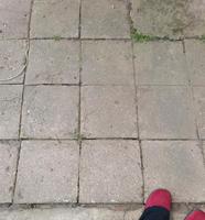 SUCHE alte Gewegplatten Steine Platten aus DDR Zeit  in grau Sachsen-Anhalt - Halle Vorschau