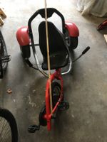 Balanz Bike von Berg, 3-Rad-GoCart Nordrhein-Westfalen - Breckerfeld Vorschau