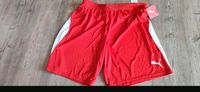 Puma Shorts Team LIGA Herren rot Gr XL neu Nordrhein-Westfalen - Burscheid Vorschau