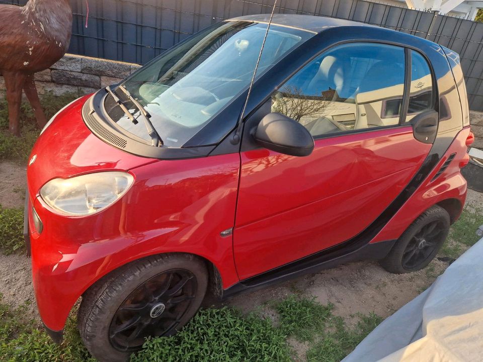 Smart fortwo  coupe in Dirmstein