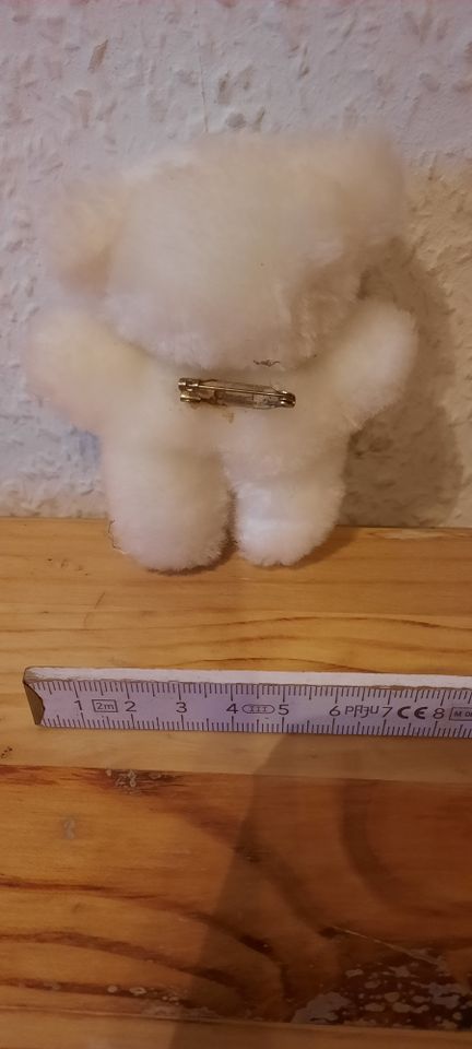 Anstecker Teddy in Essen