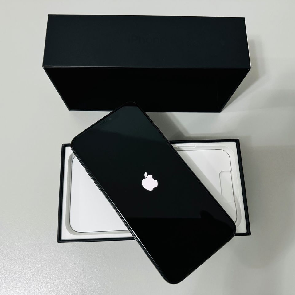 iPhone 11 Pro Max 256GB Space Grey  - OVP mit Zubehör in Loop Holstein