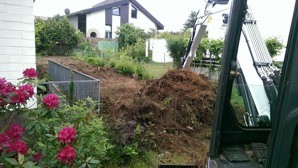 Wurzel entfernen Hecken entfernen Baumwurzel Fräsen in Nürnberg (Mittelfr)