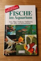 Aquarium, Aquaristik, Fische Bayern - Geretsried Vorschau