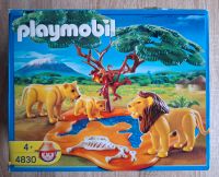 Playmobil 4830 Löwenfamilie mit OVP Schleswig-Holstein - Hütten  Vorschau