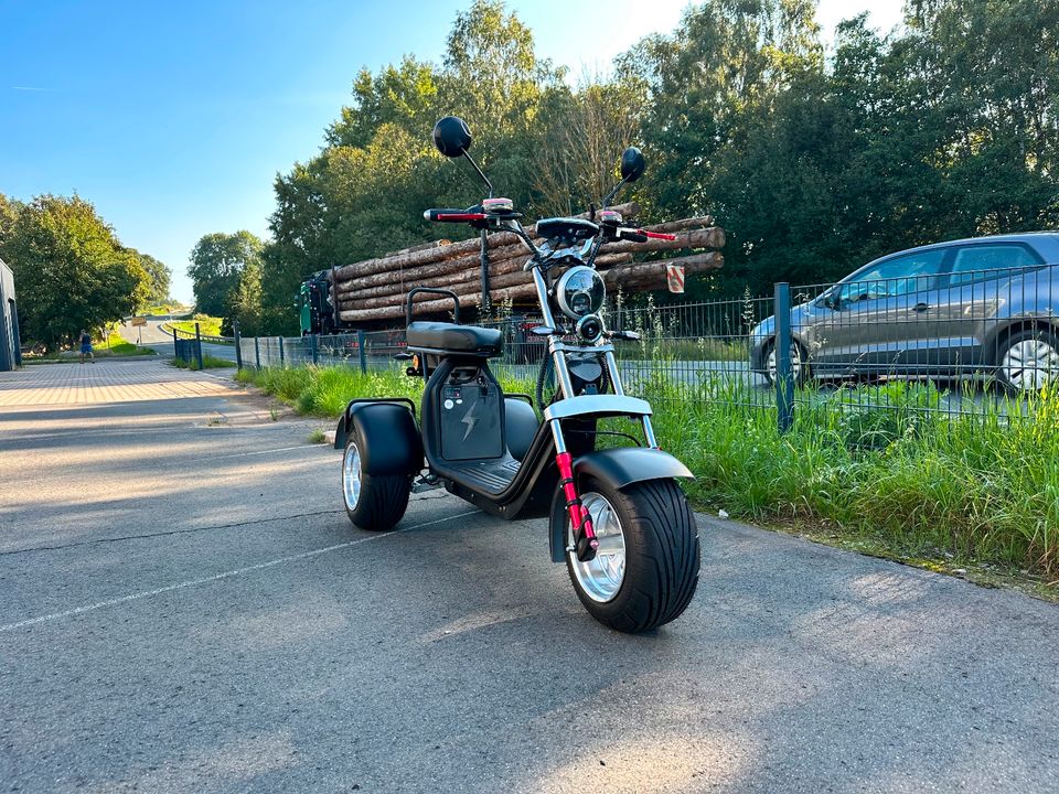 Elektro-Trike 45 km/h/4000W peak/bis 90 km/Neigetechnik in Weißenstadt