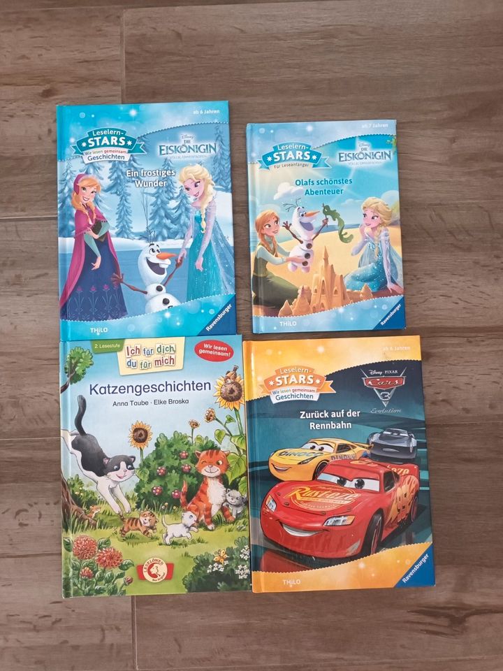 4 Erstlesebücher Disney Eiskönigin und Cars in Unterdießen