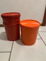 Tupperware / Plätzchendose / Tupper / Retro Bayern - Deggendorf Vorschau