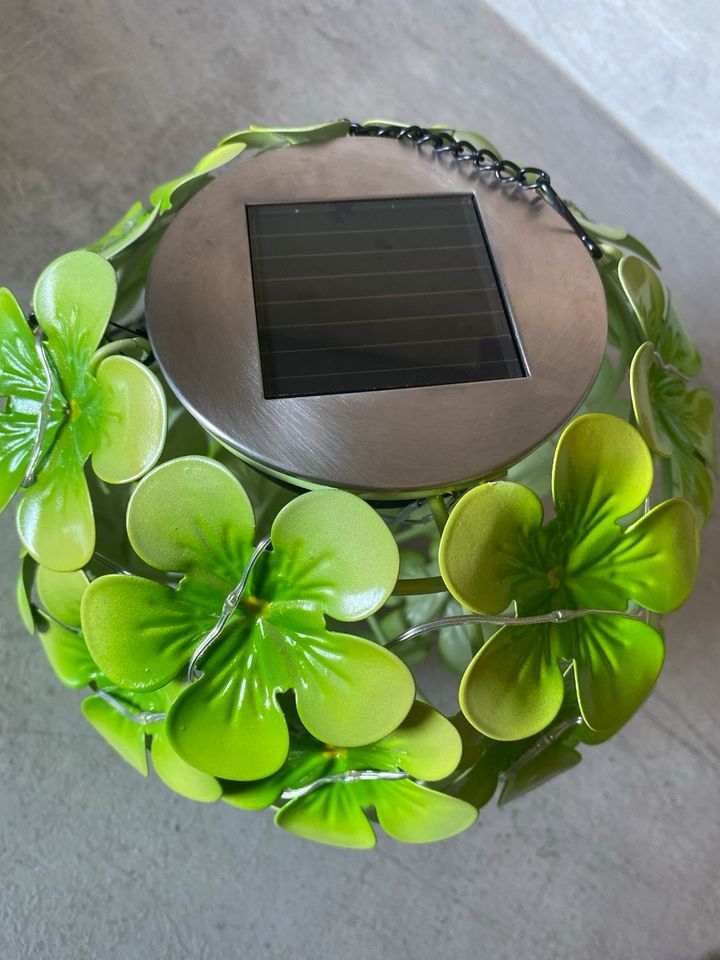Solar Hortensie in grün und lila . 2 er Pack sortiert in Bremerhaven