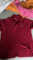 Lacoste Poloshirt Größe 5 Bayern - Hof (Saale) Vorschau