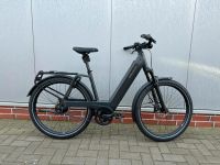 Riese und Müller Nevo4 GT Rohloff E-14 Bosch 750 Ebike Sofort Niedersachsen - Jade Vorschau