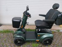 SENIORENMOBIL Luchs R7S Racing green Thüringen - Erfurt Vorschau