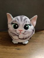 Hasbro, Für Real, Cutie Katze mit Geräuschen Bayern - Geratskirchen Vorschau