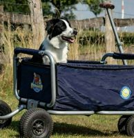 BEACHTREKKER Life faltbarer Bollerwagen Buggy Nordrhein-Westfalen - Fröndenberg (Ruhr) Vorschau