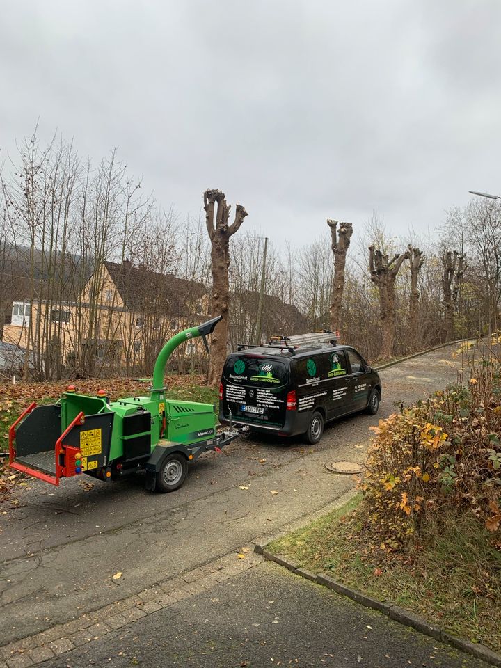 Baumfällung/Baumpflege/Gartenpflege vom Fachmann! in Siegen