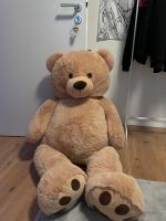 Großer Teddybär Kr. Passau - Passau Vorschau