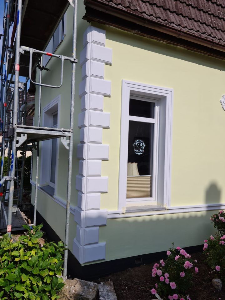 Polnische Handwerker Malerarbeiten Renovierungsarbeiten in Hamdorf