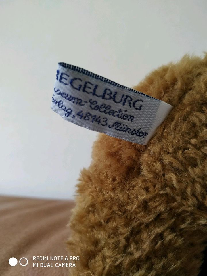 Die Spiegelburg Teddy 20 cm hoch mit Bilderrahmen in Münchweiler an der Rodalb