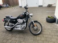 Harley-Davidson Sportster 883 Nordrhein-Westfalen - Meckenheim Vorschau