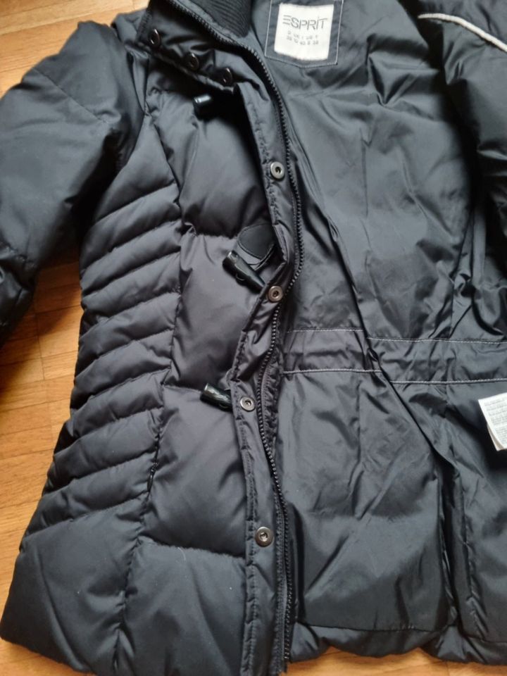 Winterjacke der Marke ESPRIT, Schwarz Gr.38 in Aachen