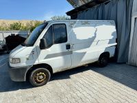 Fiat Ducato 230L Bayern - Plattling Vorschau