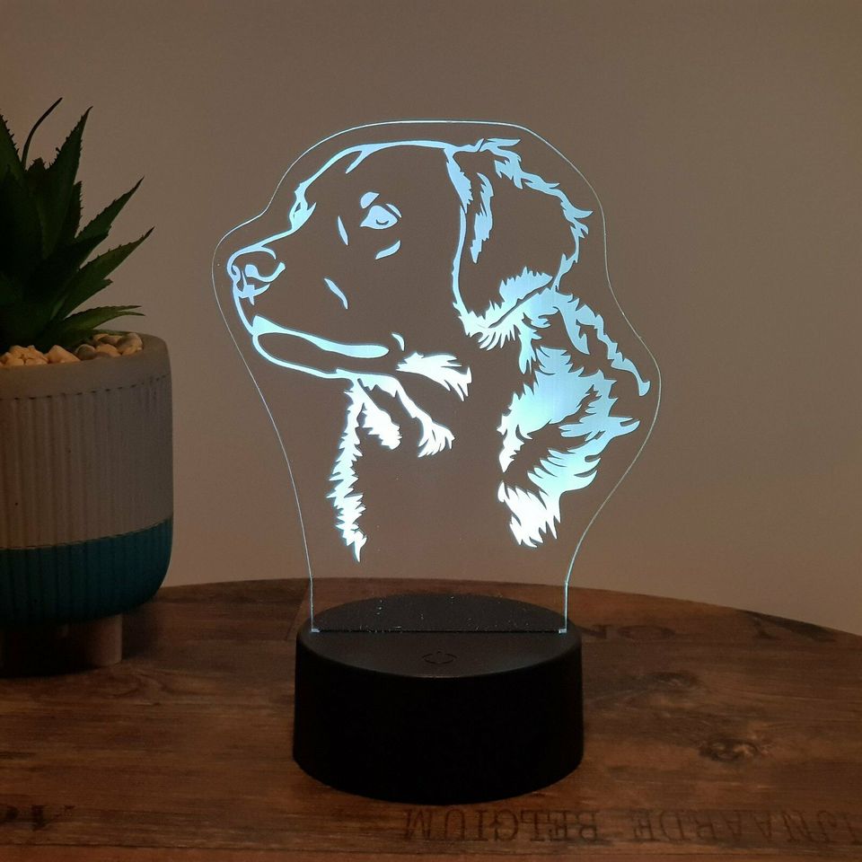 LED Lampe Hund (auch mit Wunschnamen) / Golden Retriever in Schülp bei Rendsburg