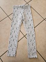 Mädchen Leggings Pinguine grau Gr. 110/116 - NEU Hessen - Weilmünster Vorschau