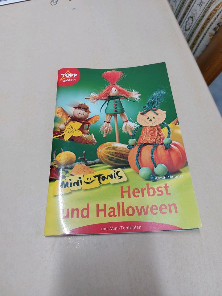 Bastel Buch Herbst Halloween neu in Holle