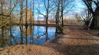 Schöne große Boxen Hannover - Bothfeld-Vahrenheide Vorschau