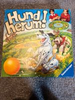 Hund herum Ravensburger Bonn - Beuel Vorschau