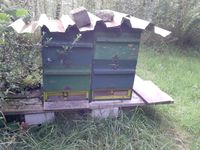 Bienenkasten, Holz Niedersachsen - Salzhausen Vorschau