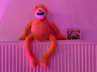 Mr. Oizo flat Best CD Single mit flat Eric Bayern - Kaufering Vorschau