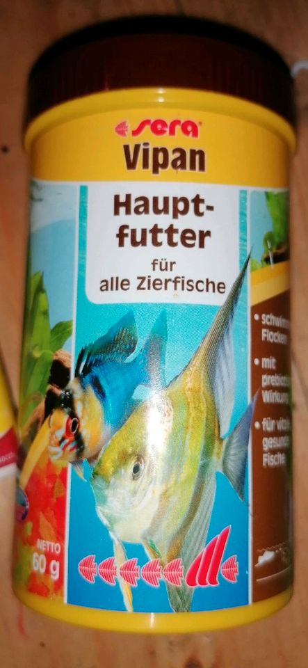 Aquarium 60 Liter in Schwarme