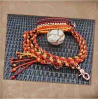 Paracord Halsband Leinen Set HU ab 40cm Schleswig-Holstein - Wittenborn Vorschau