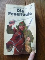 Buch, Die Feuertaufe von Arkadi Gaidar Niedersachsen - Winsen (Luhe) Vorschau