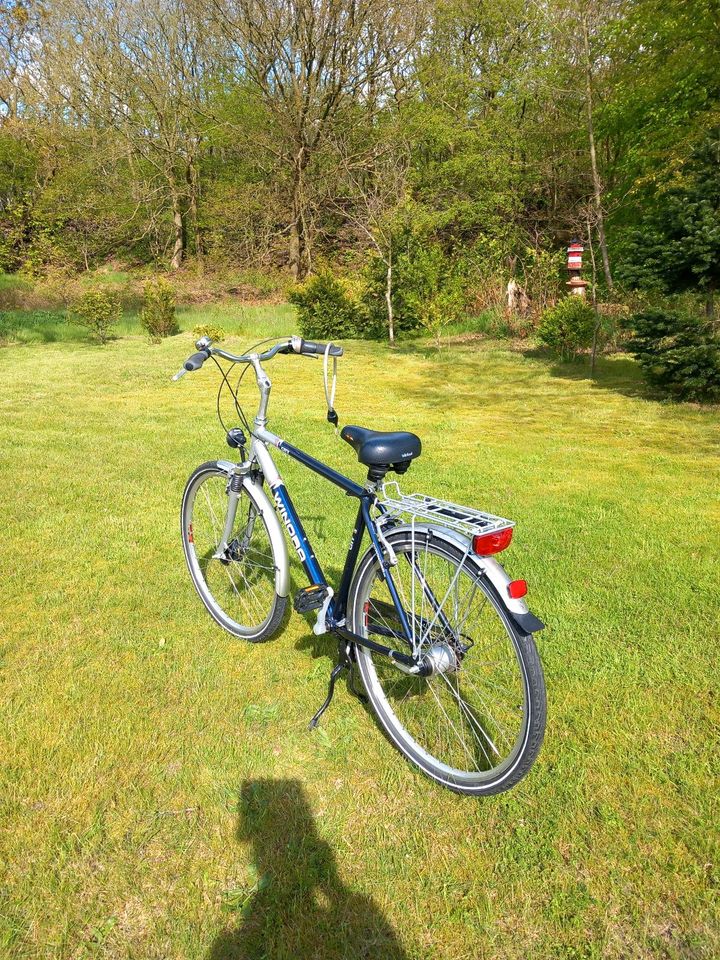 Herrenfahrad von Winora Markenfahrrad in Midlum