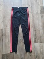 *TOP* adidas climate Sport Leggins Gr. S Sachsen - Großröhrsdorf Vorschau