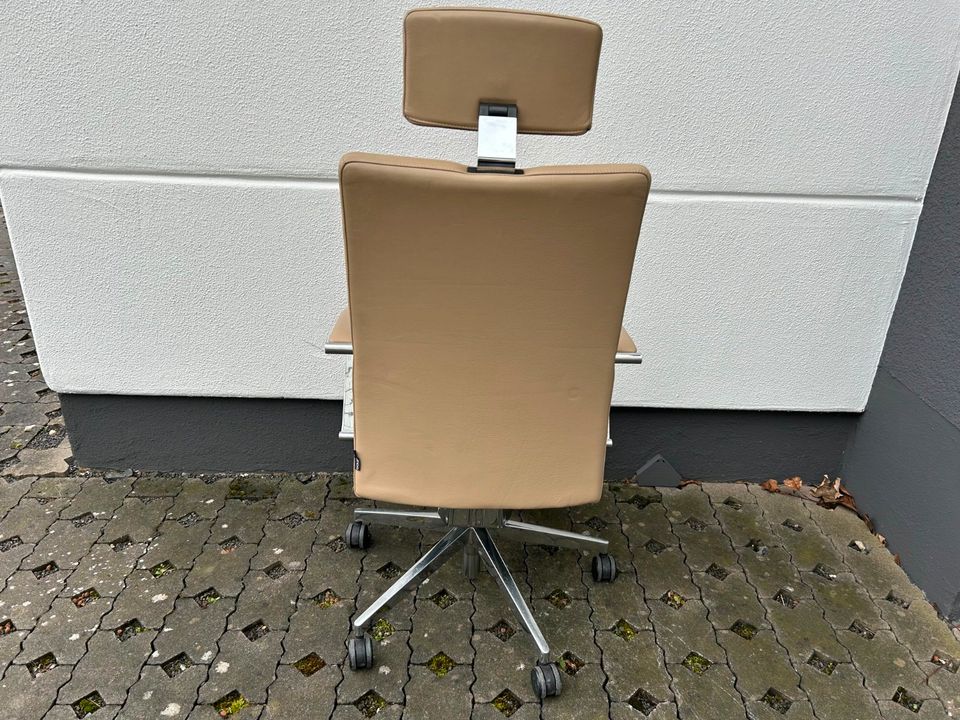 ❗️20x Dauphin FairPlay Beige Ergonomischer Drehstuhl Bürodrehstuhl Chefsessel modern Design Designmöbel Schreibtischstuhl Verstellbar Hochwertiger Chefstuhl Lordosenstütze Büro   Lieferung ist Möglich in Linden