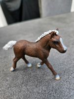 Schleich 13899 Schwarzwälder Fohlen, Kinder ab 3+ Jahren, Farm Nordrhein-Westfalen - Euskirchen Vorschau