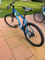 MTB Wheller Pro 19 17,5‘‘ Hessen - Weilburg Vorschau