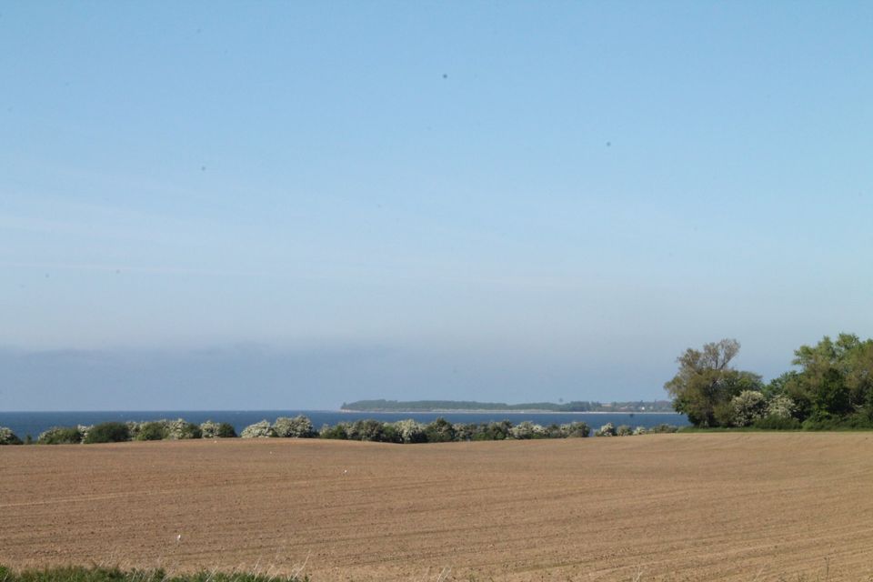 "Seebrise" - Doppelhaus an der Ostsee, ca 800m bis zum Strand! in Zierow