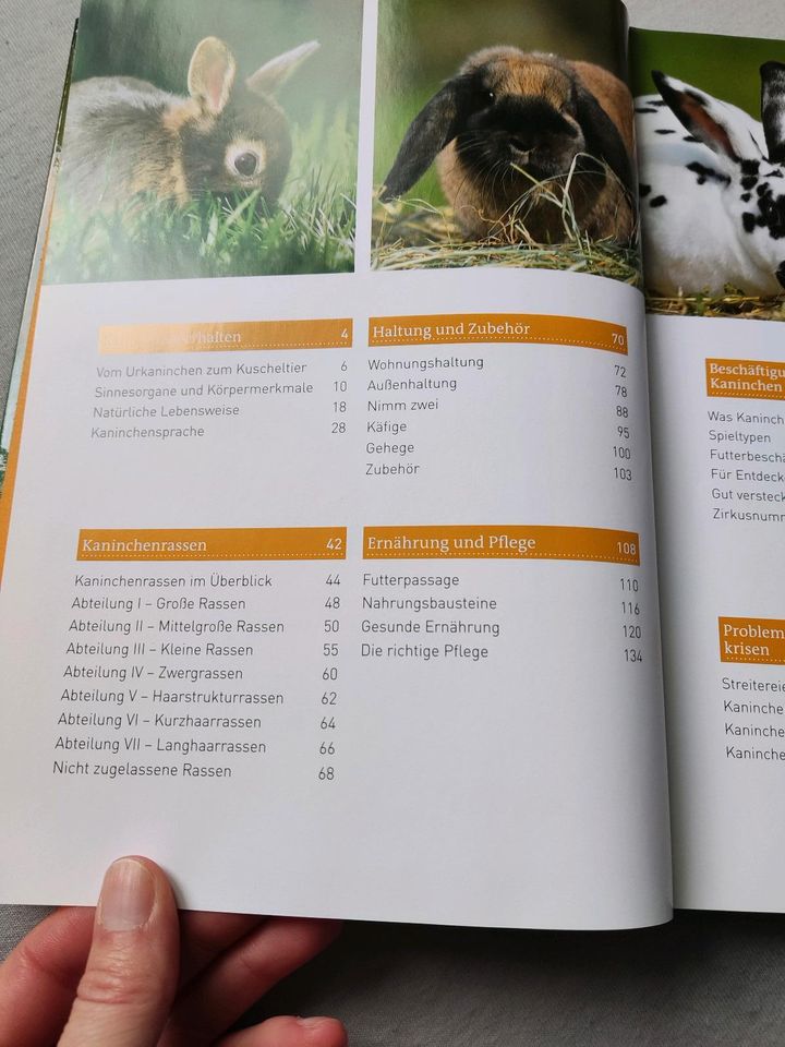 Kaninchen Kosmos Handbuch in Oldenburg