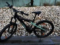 KTM Macina Lycan Glory 272 2031 Bayern - Neustadt b.Coburg Vorschau