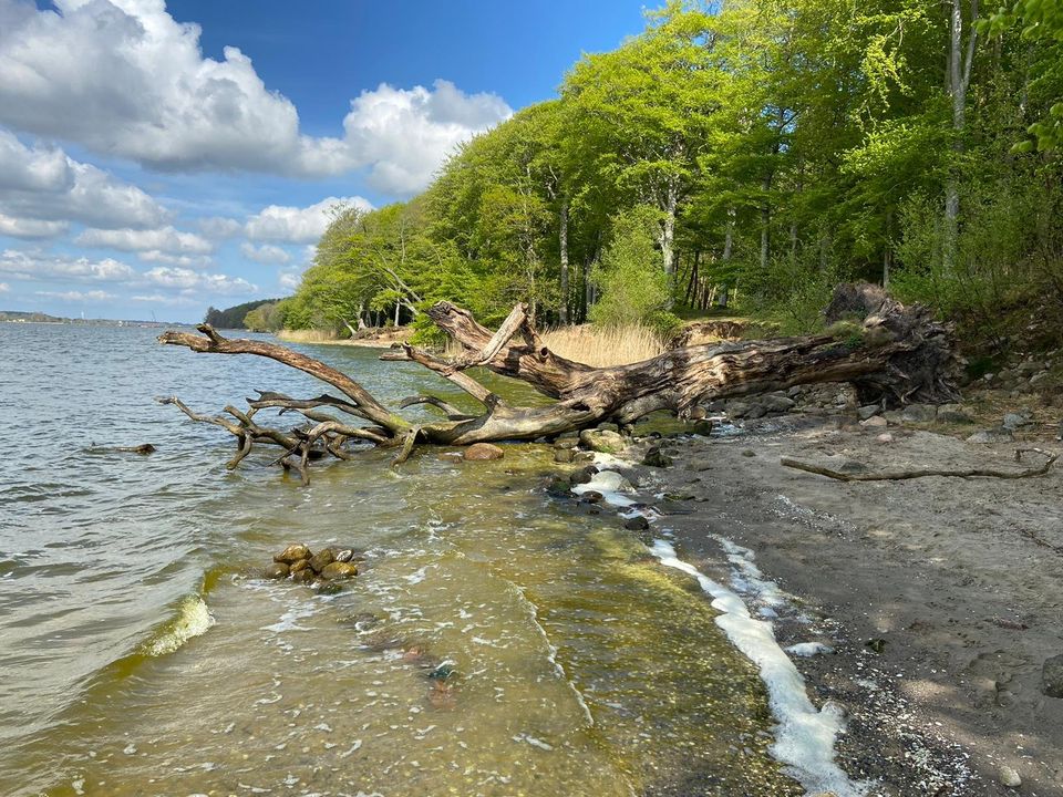 Ferienhaus Urlaub Okt Dez 24 Ostsee Schlei Kappeln Eckernförde in Rieseby