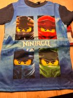 Neu! Lego Ninjago T-Shirts Gr. 146 je 10 € Baden-Württemberg - Schömberg b. Württ Vorschau