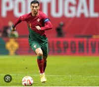 Ronaldo Trainingstickets Gütersloh Nordrhein-Westfalen - Verl Vorschau