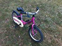 Pegasus 16 Zoll Kinderfahrrad im Abo - 5 Euro/Monat Hessen - Kassel Vorschau